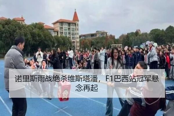 诺里斯雨战绝杀维斯塔潘，F1巴西站冠军悬念再起